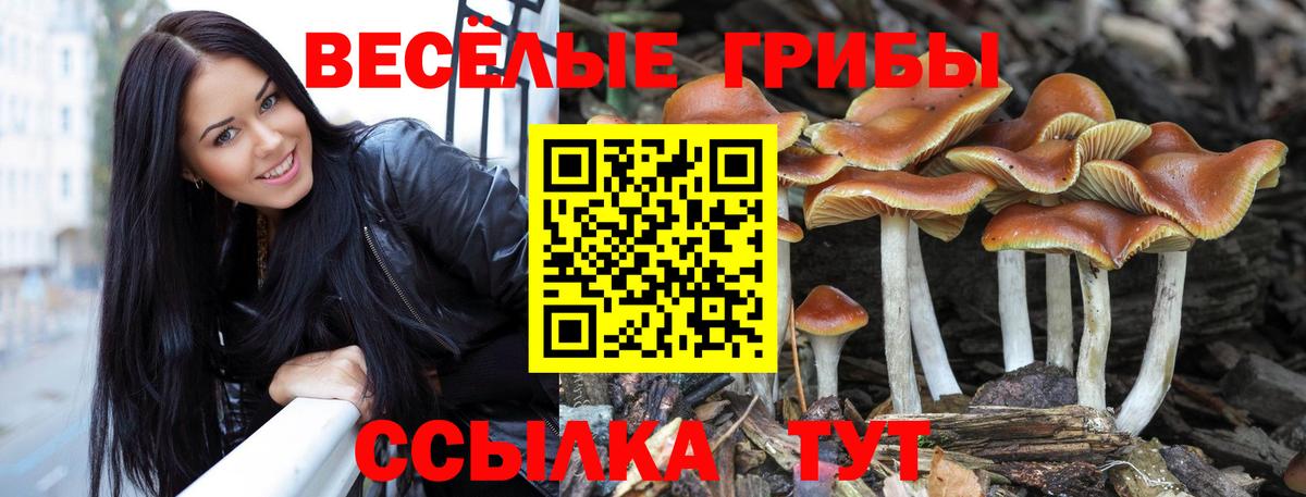 Шахты  Галлюциногенные грибы ЛСД  Псилоцибиновые грибы прущие грибы  Вход с VPN 